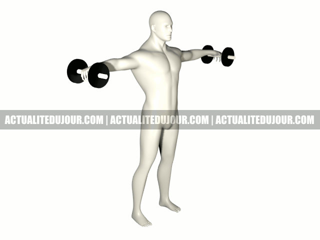 L'élévation latérale, un exercice pour la musculation des épaules