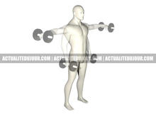Élévations latérales pour muscler les épaules